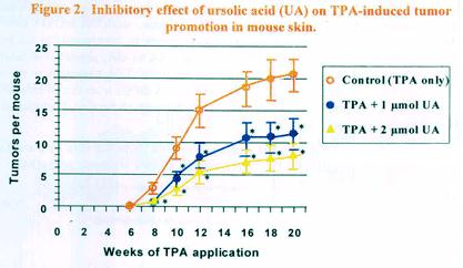 inhibitory effect of Ursolic acid