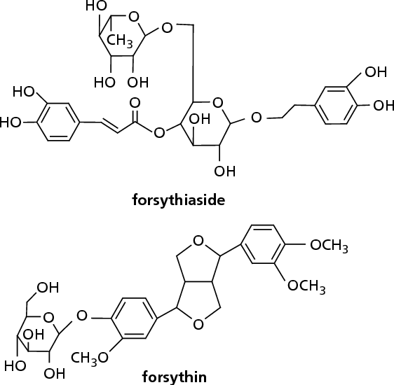 Forsythia molecular formula