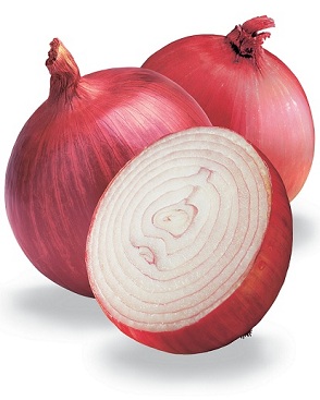 onion extract