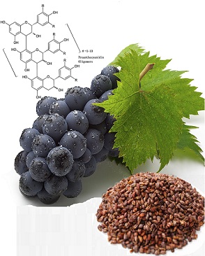 Benefits of grape seed extract