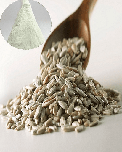 sunflower seeds protein