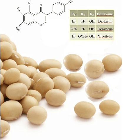 soybean isoflavones content