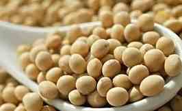 Soybean Extract Supply