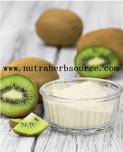 kiwi juice powder