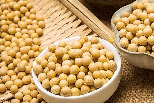 soy isoflavones for sale