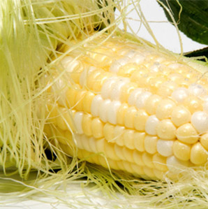 corn silk extract